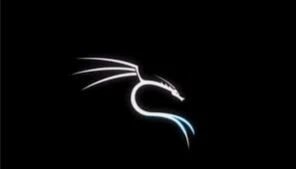Kali Linux Essential